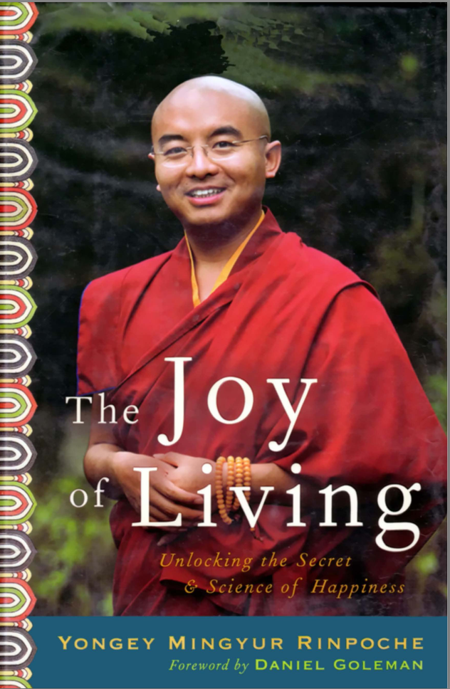 (image for) The Joy of Living by Mingyur Rinpoche (PDF)